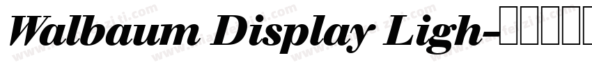 Walbaum Display Ligh字体转换